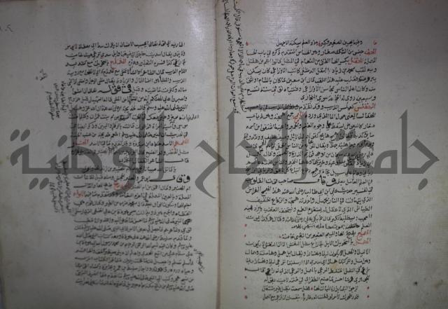 حياة الحيوان الكبرى