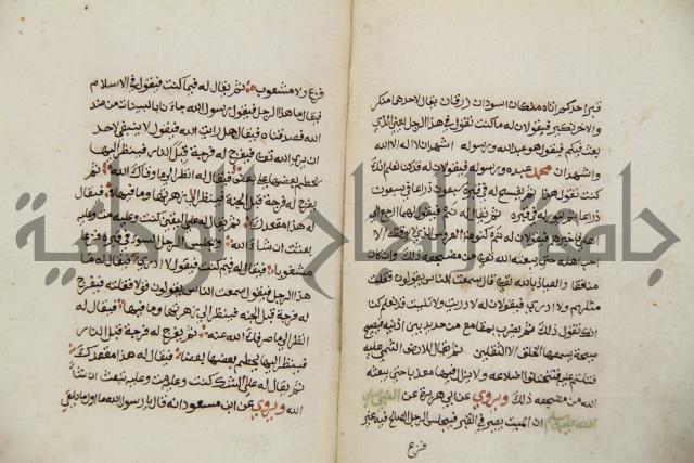 زهر الزاهر في الدلالة على قدرة العزيز القاهر