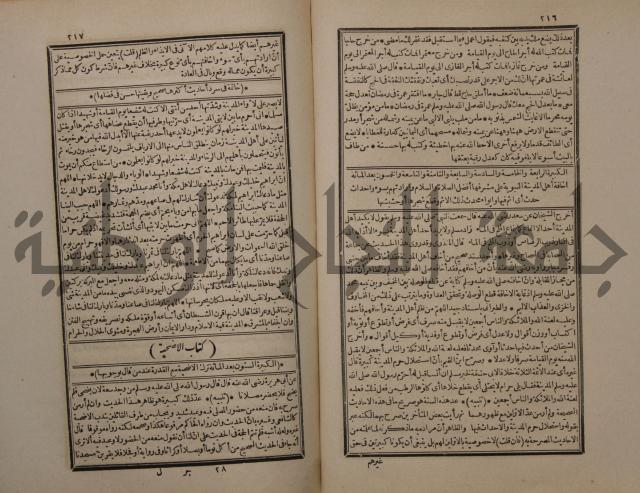 حاشية على شرح البسط المارديني على متن الرحبية في علم الفرائظ على مذهب سيدنا الامام الشافعي 