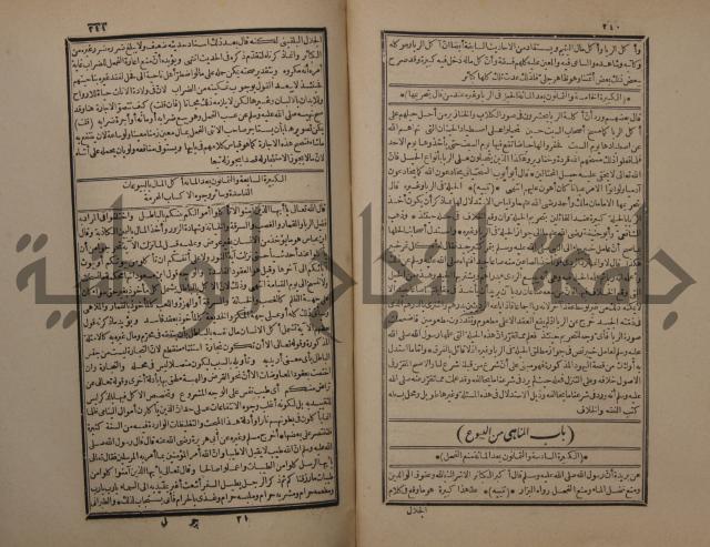حاشية على شرح البسط المارديني على متن الرحبية في علم الفرائظ على مذهب سيدنا الامام الشافعي 
