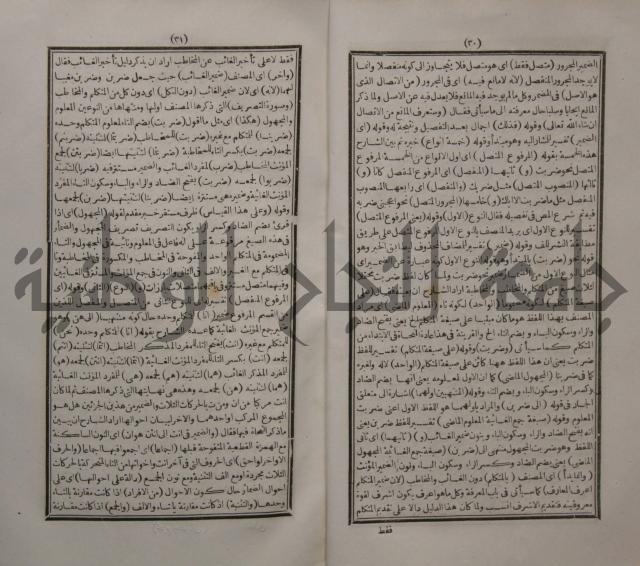 حاشية الجامي