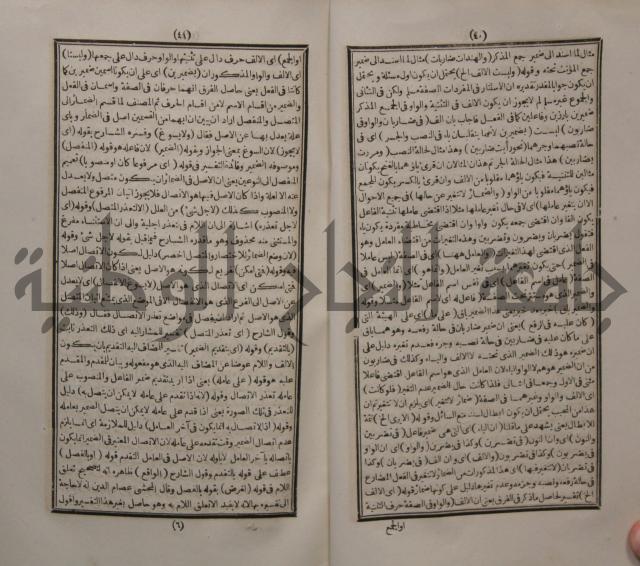 حاشية الجامي