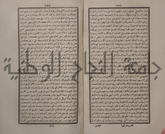 حاشية الجامي