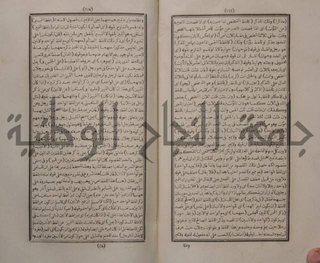 حاشية الجامي