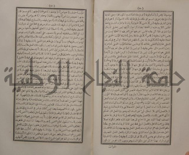 حاشية الجامي