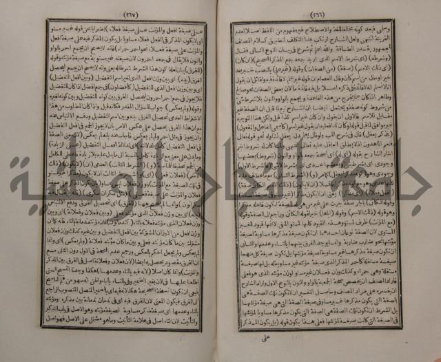 حاشية الجامي