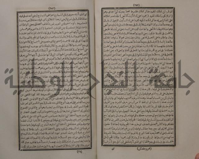 حاشية الجامي