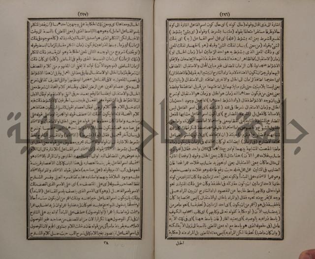 حاشية الجامي