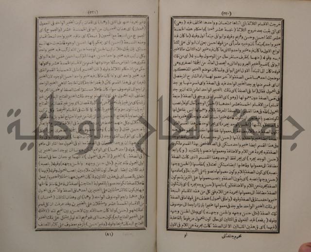 حاشية الجامي