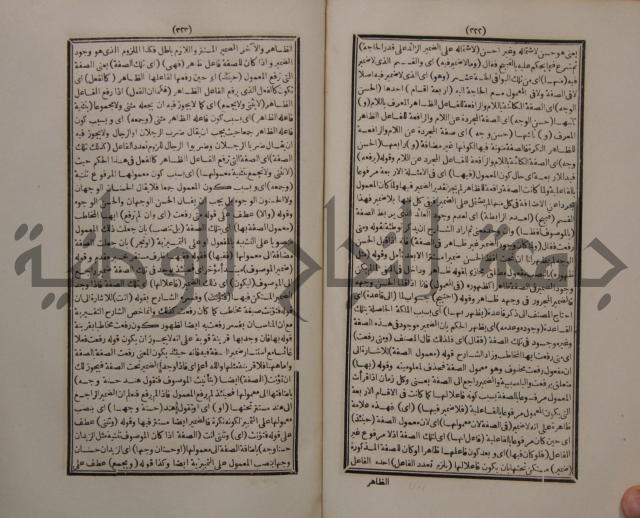 حاشية الجامي