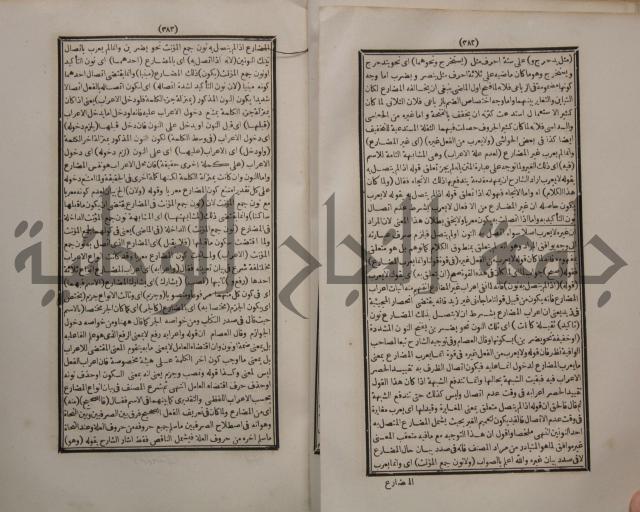 حاشية الجامي