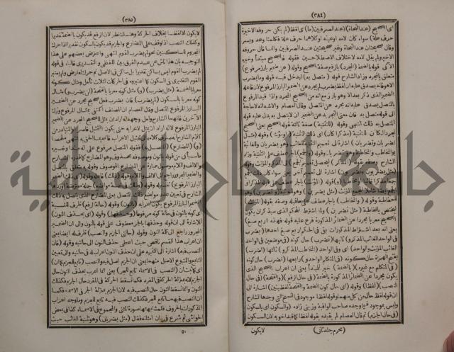 حاشية الجامي