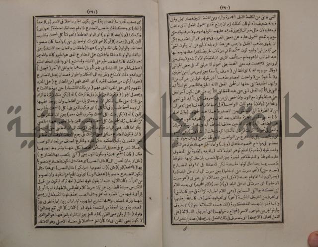 حاشية الجامي