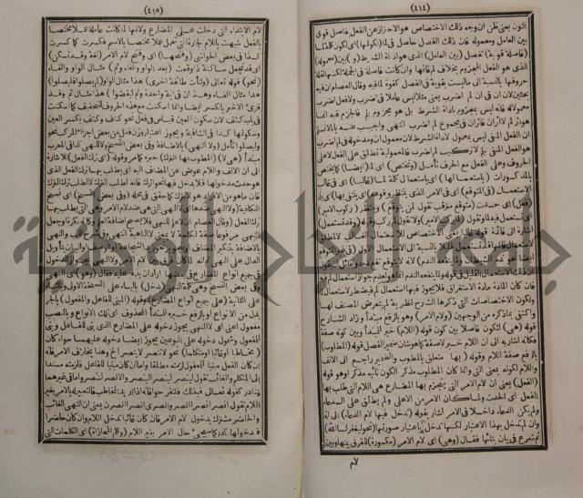 حاشية الجامي