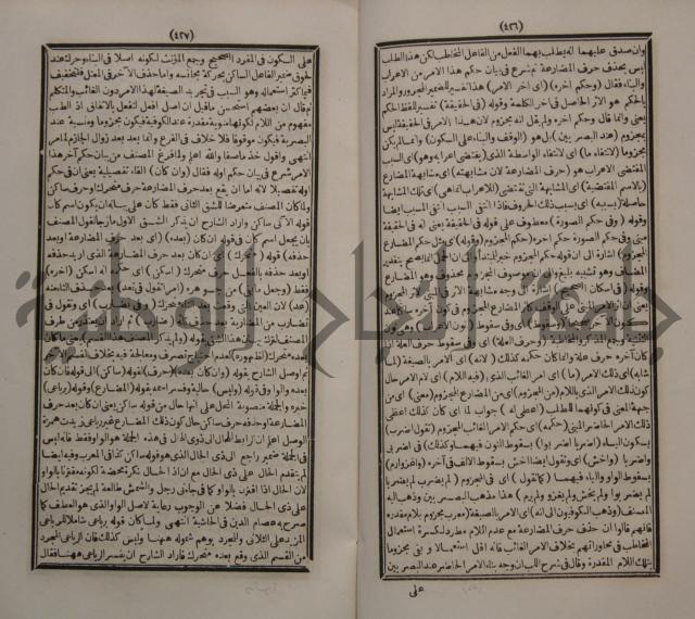 حاشية الجامي