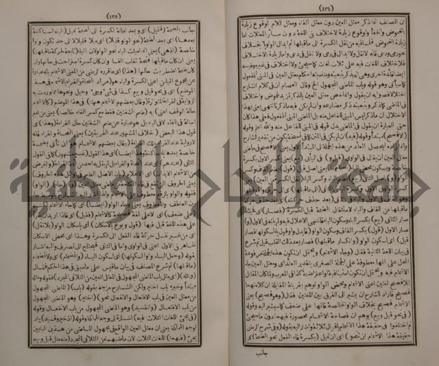 حاشية الجامي