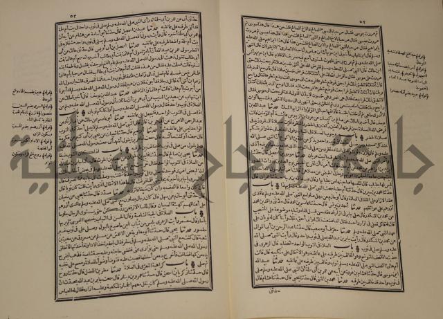 شرح القصيدة العليا:غريسة الطوبى