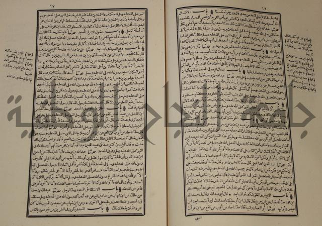 شرح القصيدة العليا:غريسة الطوبى