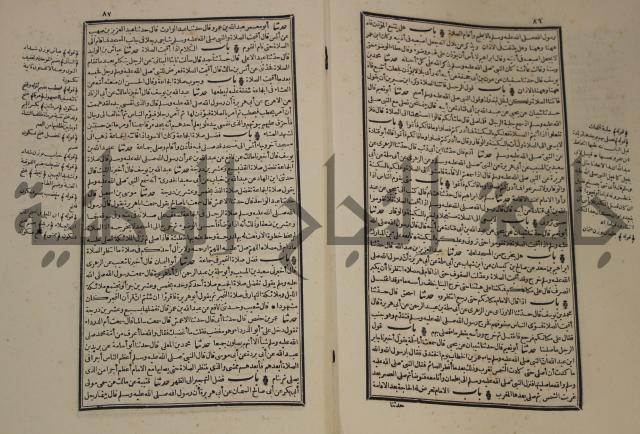 شرح القصيدة العليا:غريسة الطوبى