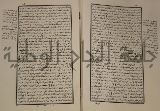 شرح القصيدة العليا:غريسة الطوبى