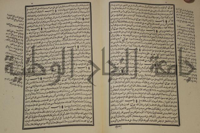 شرح القصيدة العليا:غريسة الطوبى