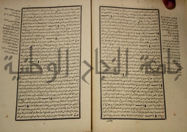 شرح القصيدة العليا:غريسة الطوبى