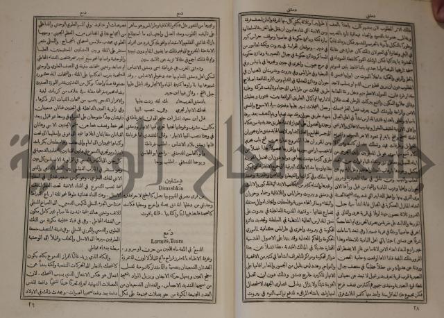 دائرة المعارف: مجموعة 8