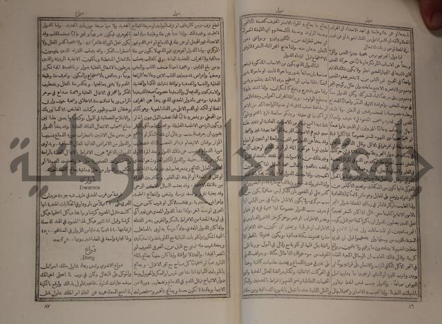 دائرة المعارف: مجموعة 8