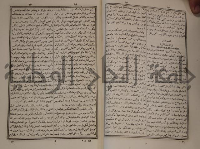 دائرة المعارف: مجموعة 8