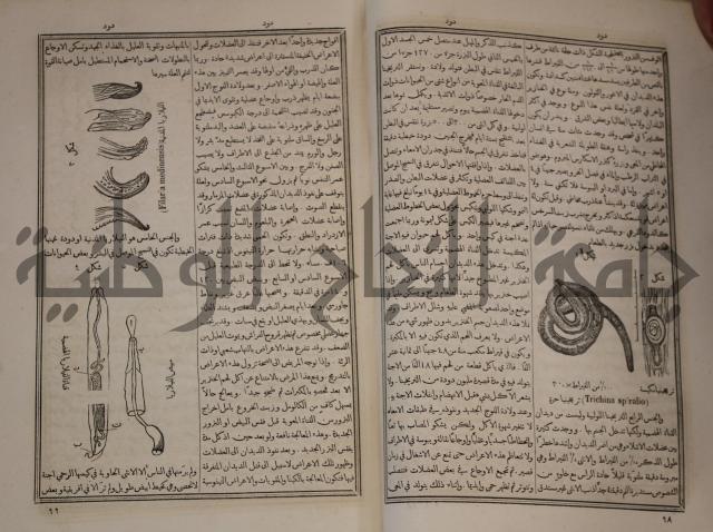 دائرة المعارف: مجموعة 8