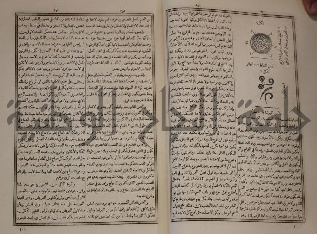 دائرة المعارف: مجموعة 8