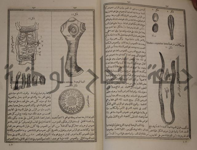 دائرة المعارف: مجموعة 8