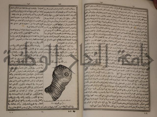 دائرة المعارف: مجموعة 8