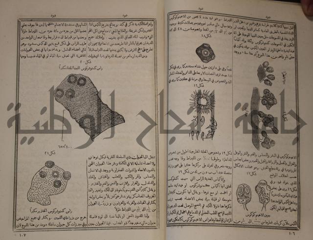 دائرة المعارف: مجموعة 8