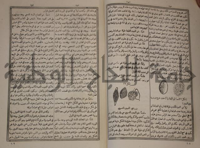 دائرة المعارف: مجموعة 8