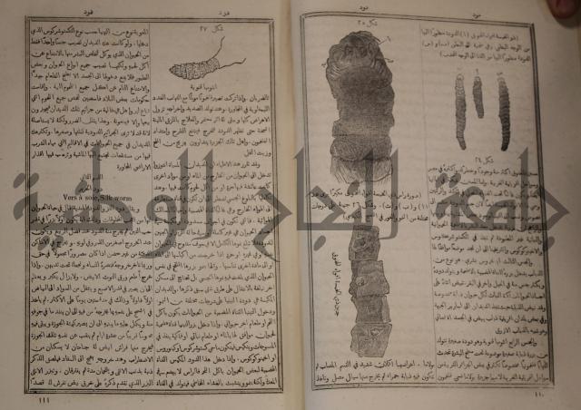 دائرة المعارف: مجموعة 8