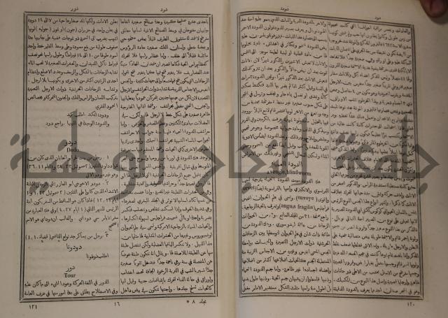 دائرة المعارف: مجموعة 8