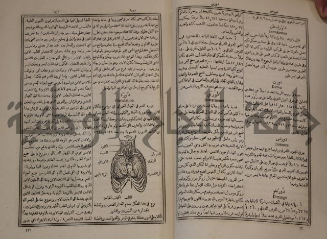 دائرة المعارف: مجموعة 8