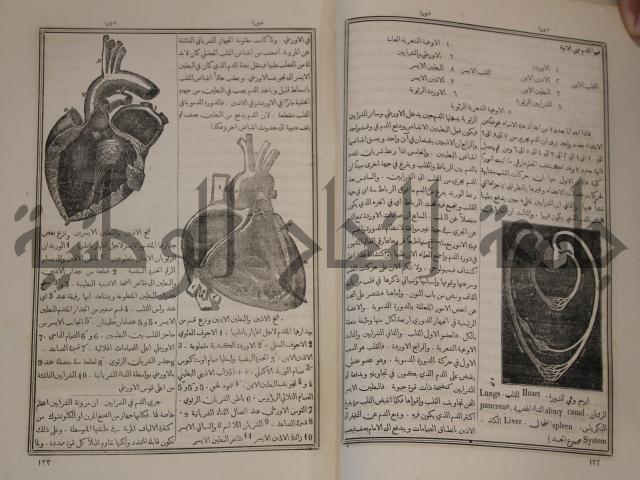 دائرة المعارف: مجموعة 8