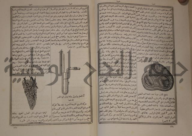 دائرة المعارف: مجموعة 8