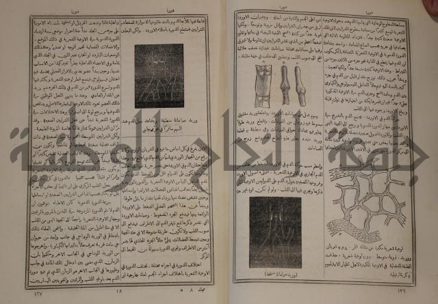 دائرة المعارف: مجموعة 8