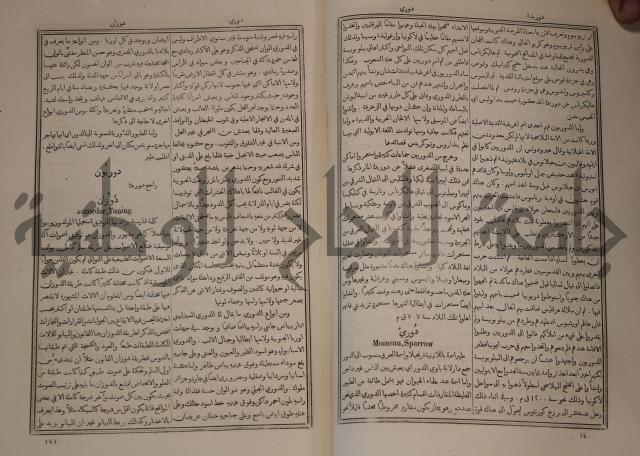 دائرة المعارف: مجموعة 8