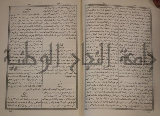 دائرة المعارف: مجموعة 8