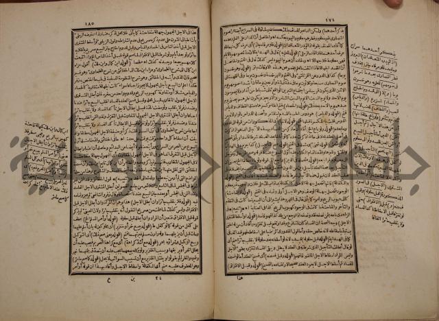 حاشية رد المحتار الدر على المختار شرح تنوير الابصار في فقه مذهب الامام ابي حنيفة النعمان