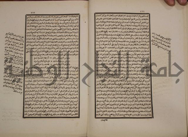 حاشية رد المحتار الدر على المختار شرح تنوير الابصار في فقه مذهب الامام ابي حنيفة النعمان