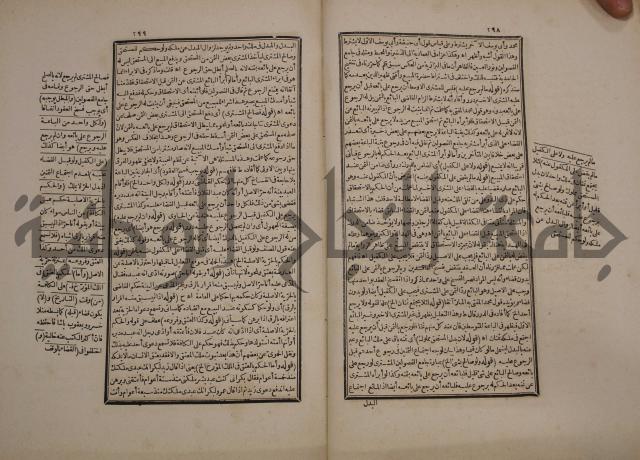 حاشية رد المحتار الدر على المختار شرح تنوير الابصار في فقه مذهب الامام ابي حنيفة النعمان
