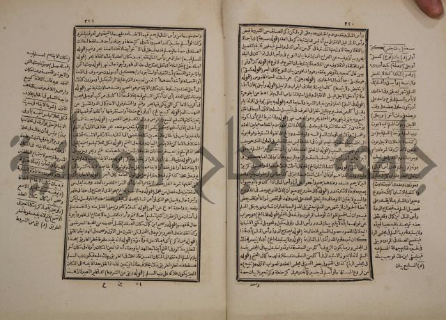 حاشية رد المحتار الدر على المختار شرح تنوير الابصار في فقه مذهب الامام ابي حنيفة النعمان