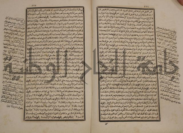 حاشية رد المحتار الدر على المختار شرح تنوير الابصار في فقه مذهب الامام ابي حنيفة النعمان