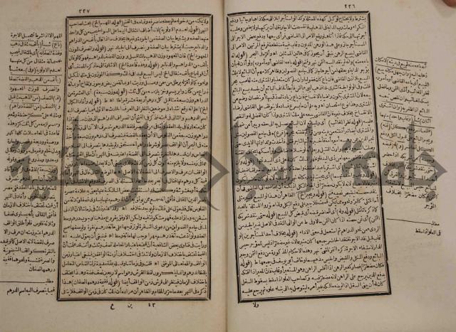 حاشية رد المحتار الدر على المختار شرح تنوير الابصار في فقه مذهب الامام ابي حنيفة النعمان