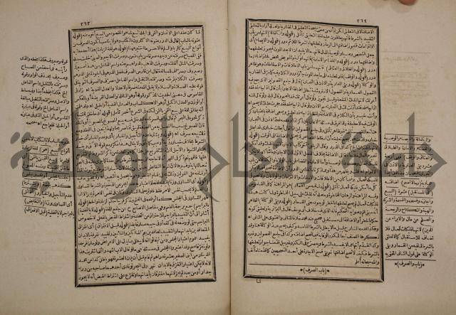 حاشية رد المحتار الدر على المختار شرح تنوير الابصار في فقه مذهب الامام ابي حنيفة النعمان